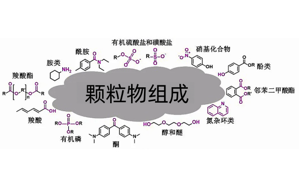 顆粒物組成結構圖.png