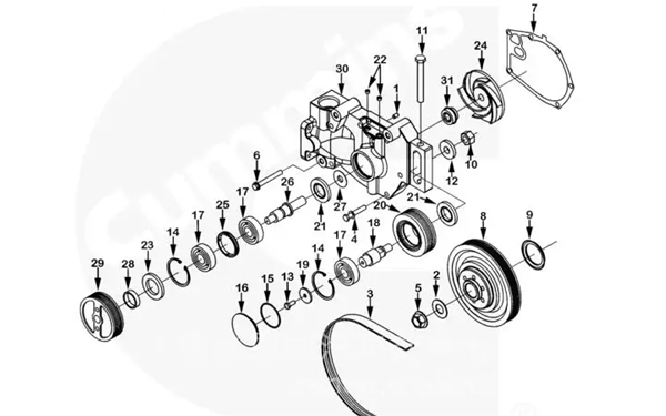 水泵總成4979139零件圖-康明斯柴油發(fā)電機組.png