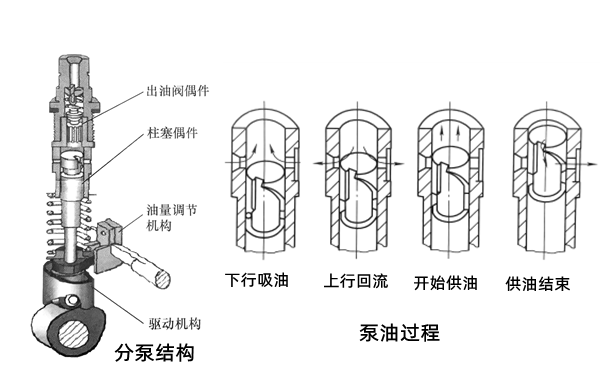 燃油泵分配泵結構和原理圖-柴油發電機組_副本.png