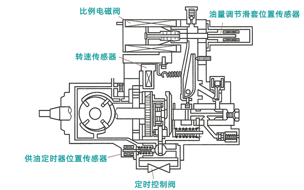 電控位置式分配泵結構圖-柴油發電機組.png